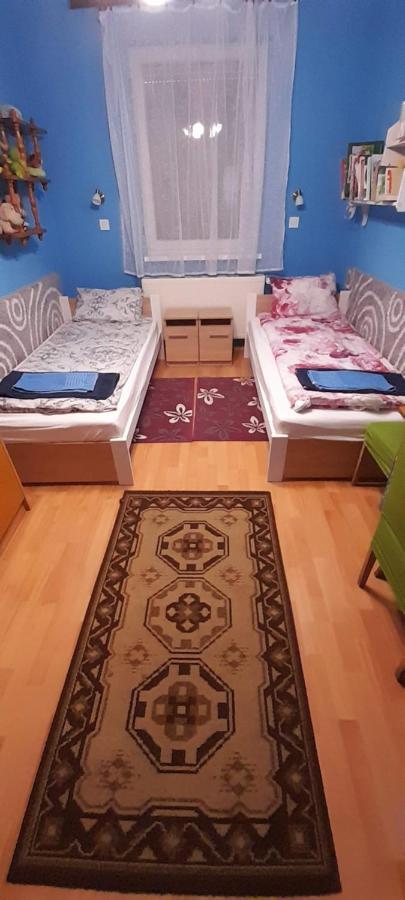 Vila Oeregakac Vendeghaz Tiszaladány Exteriér fotografie